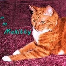 mmMekitty