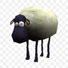 HappySheep