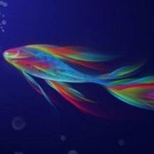 Rainbow_fish