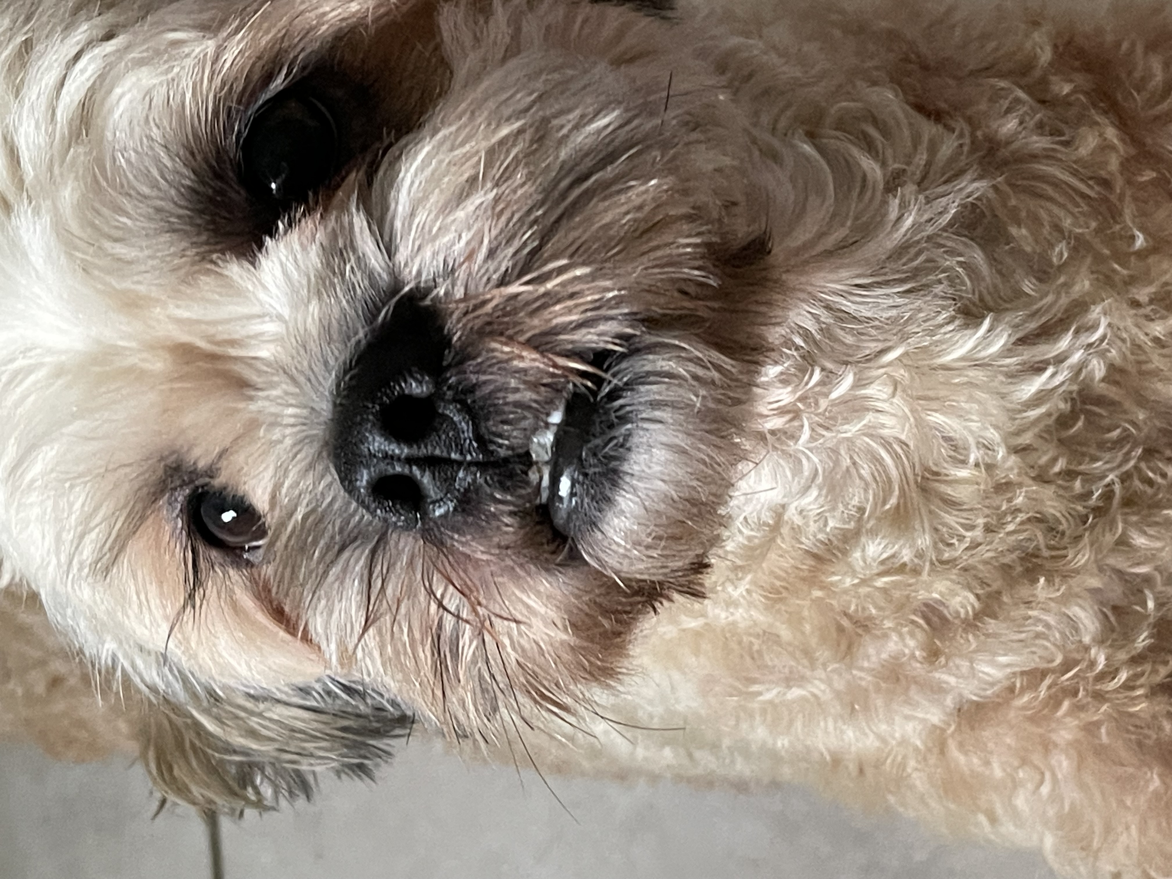 HisMaggie56