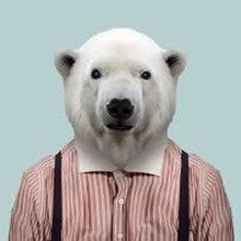 WhiteBear