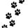 Paw Prints